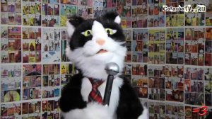 Рэй RWJ - КОТИКИ В ПОЛЕТЕ