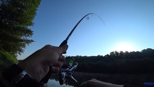 Спиннинг NARVAL ARGUMENT - ОБЗОР НОВИНКИ 2020 смотреть онлайн