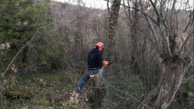 Chinese chainsaw tuning "La Sthile" смотреть онлайн