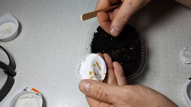 как я сею перец и баклажан смотреть онлайн