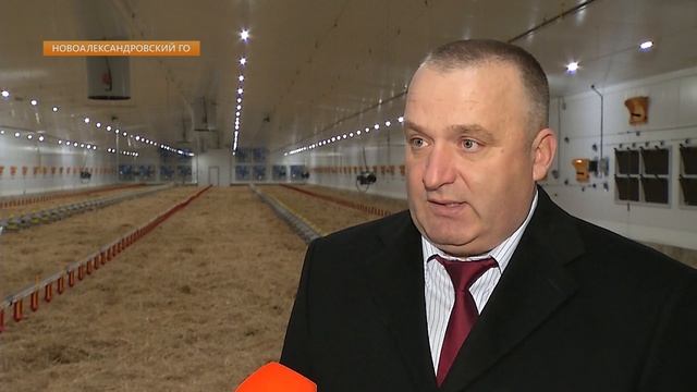 В Новоалександровском городском округе открыли птицеферму по откорму индеек