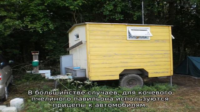 Кочевая пасека