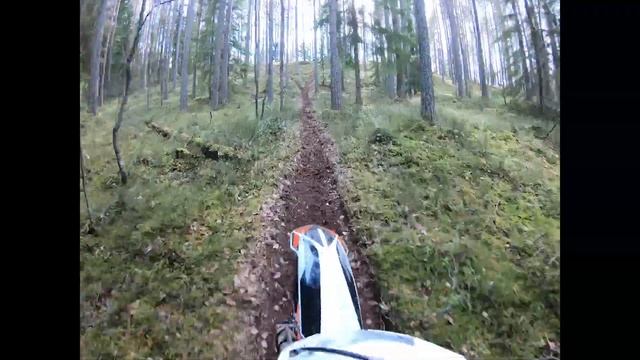 Сосновский Прохват Банда на Avantis FX lux 250 172, ZIP MOTORS K5 250, BRZ X5M Часть 2я Горки в лес смотреть онлайн