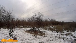 Ловля певчих птиц - Подстраиваюсь от направления ветра.