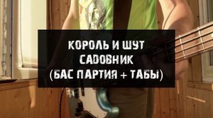 Король и Шут - Садовник (кавер, бас партия + табы)