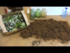 Табаководство:  Ферментация  табака + яблоня и вишня.