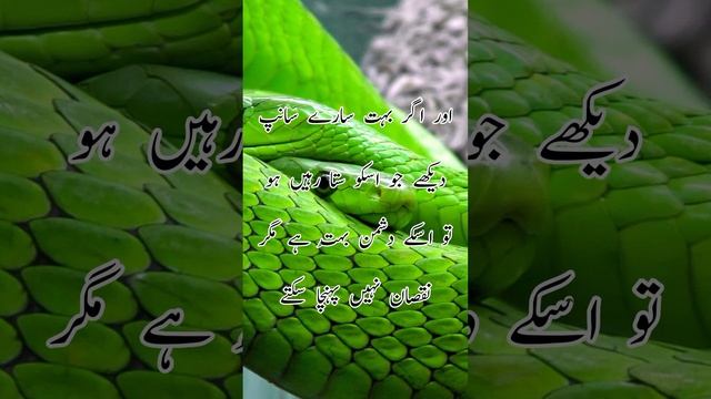 Khwab mein saanp dekhna | snake dream meaning | #khwab #tabeerurroya #youtubeshorts #khawabketabeer