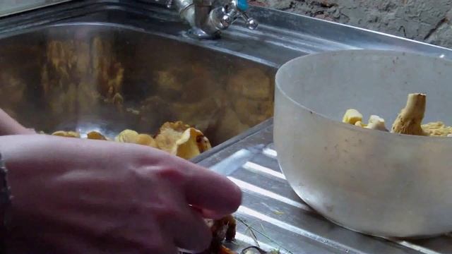 Как почистить и сварить грибы лисички // Жизнь в деревне смотреть онлайн