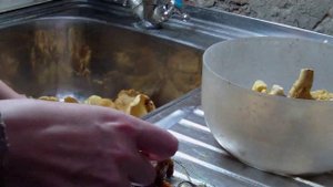 Как почистить и сварить грибы лисички // Жизнь в деревне