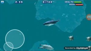 Hungry shark part 2 обзор игры напал гигантский краб