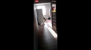 Онлайн показ Авито - разбираемся что это и как применить идею у себя