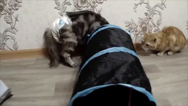 Распаковка тоннеля //тоннель с AliExpress смотреть онлайн