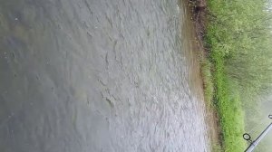 рыбалка на сисиме