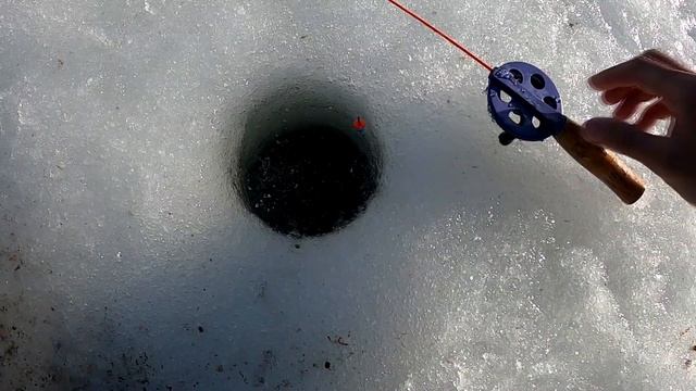 О ловле подлещика, плотвы и другой рыбы на Зельвенском водохранилище в марте 2021 года смотреть онлайн