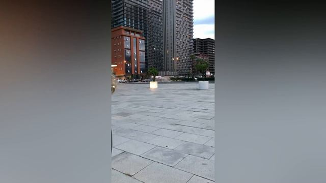 Приключения продолжаются в Батуми. Zootopia. Агрохаб. Batumi Georgia 2021 смотреть онлайн