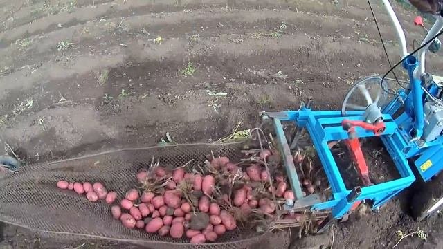 Супер картофелекопалка. Super Potato Digger. Turn On Subtitles In English.