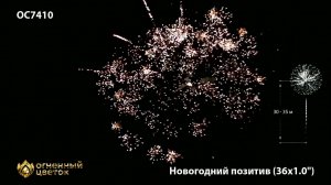 OC7410