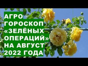 Агрогороскоп "зелёных операций" на август 2022 года