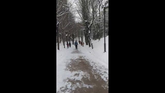 Прогулка на канатке