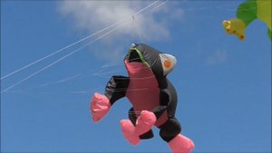 Оригинальные воздушные змеи! Фестиваль воздушных змеев.