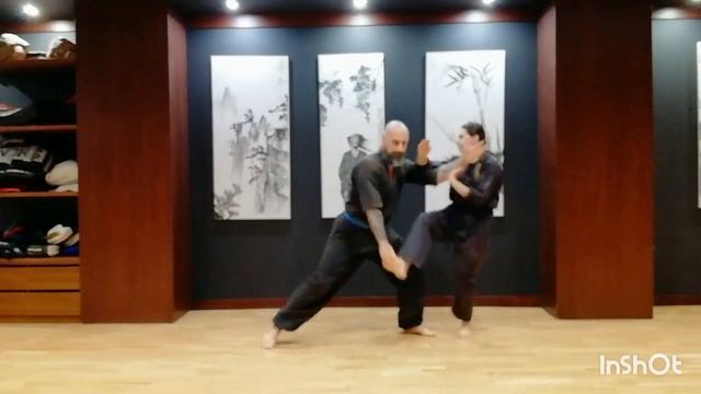 2.ШАГИ ПЕРЕМЕЩЕНИЯ: 1.23 перемещения (21.Выпад в сторону, рука вдоль ноги) смотреть онлайн