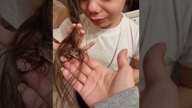 Жвачка на волосах .Трагедия ,слезы ,в итоге всё обошлось,очистили с волос жвачку . смотреть онлайн