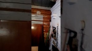 ремонт домов из бревна