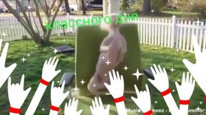 Классного дня