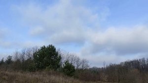 8 декабря народный праздник Клим Холодный. Важные запреты дня. Именинники дня. Народные приметы.