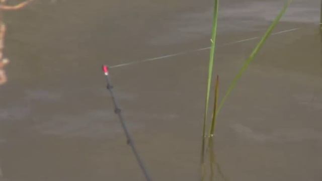 Фидер на водоемах Самарской области часть 2. Подъем-Михайловка озеро в полях... смотреть онлайн