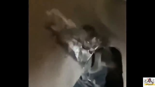 ПОДБОРКА ЖЕСТИ НА СТО #4