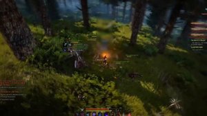 Black Desert  - Куноичи / Ниндзя / Ассассин. Особенности, специфика, вещи, различие, билд.