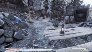 Fallout 76 : Где взять цветок Тыквы ?