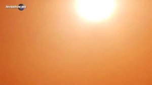 Откуда появился человек на Земле