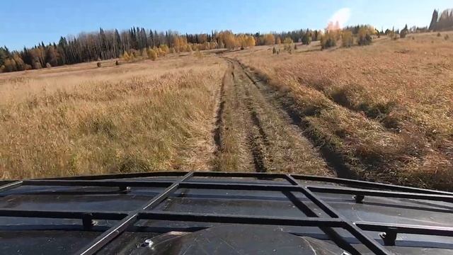 Немного покатались по окрестностям родной деревни. Хотели найти монеты, а нашли чермет смотреть онлайн