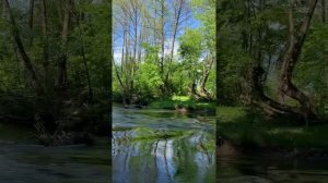 Сплав на байдарках 29 мая по Серене