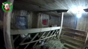 Супер кормушка для коз) работает на все 100