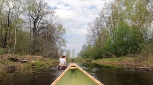 Сплав на каноэ по реке Цна