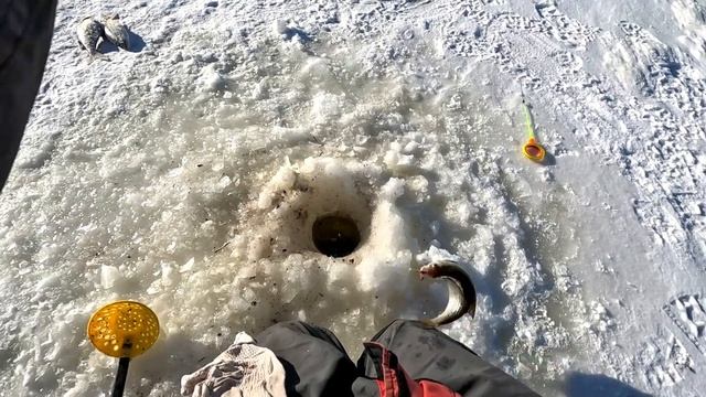 Крупная плотва весной со льда и лещ на 1.550кг ! Тёплое озеро, Наха, Эстония. смотреть онлайн