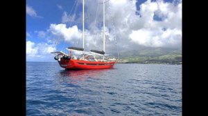 Laura Dekker 16 Años navegante más joven de la historia en dar la vuelta al mundo en 366 Días