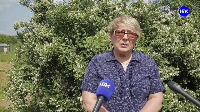 Наро-Фоминская метеостанция отметила 110-летний юбилей. смотреть онлайн