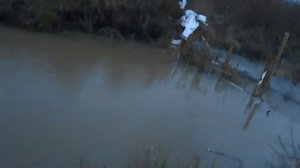 Спуск 3 га пруда с сеголеткой карпа. День первый.