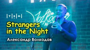 "Strangers in the Night" Александр Волкодав - клуб "Тон71" Москва 19.07.24