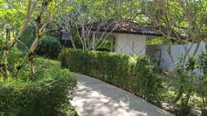 Территория отеля Nai Yang Beach Resort & SPA 4 Пхукет Таиланд.