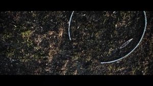 Охота в Австралии - CrackerMilk на русском