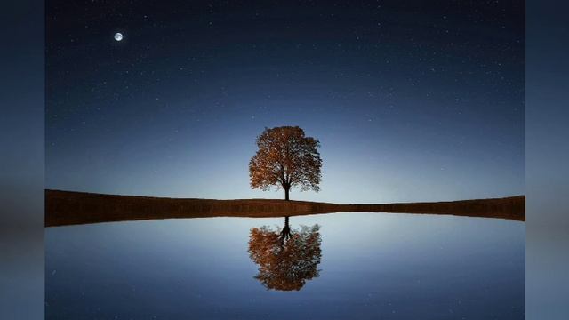 Топ музыка для души. Для поднятия настроения , Релакс . Саксофон ? и Гитара ? ) смотреть онлайн