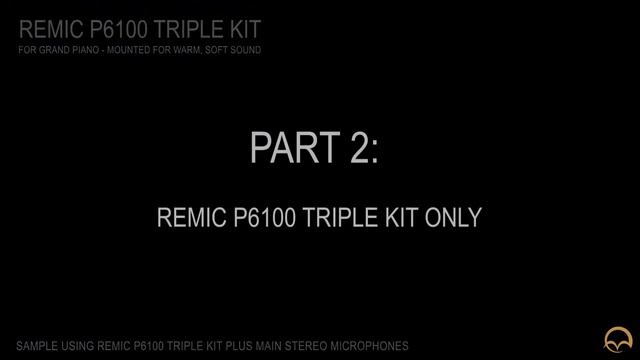 REMIC P6100 TRIPLE Kit Piano Microphones  - Grand Piano
