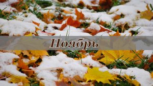 Перелистать стихами календарь. Ноябрь