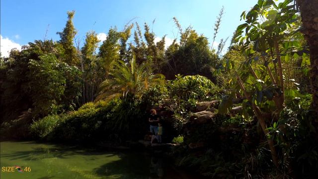 Тропический сад расслабляющая прогулка.Парк Яркон. Израиль смотреть онлайн