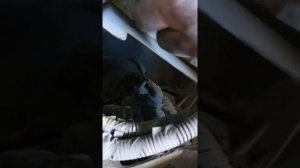 Замена лампы в противотуманной фаре КИЯ Соренто 2010